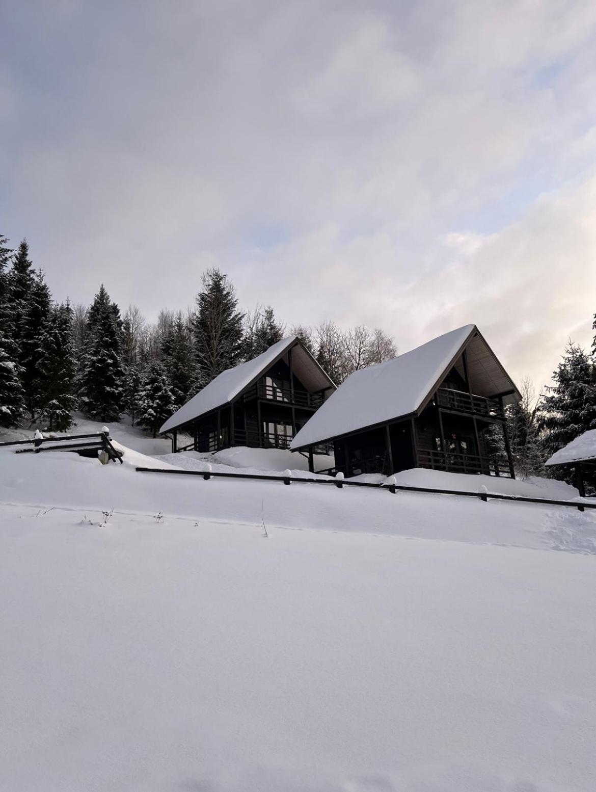 Cottages Shepit Lisu Rosokhach Exterior photo