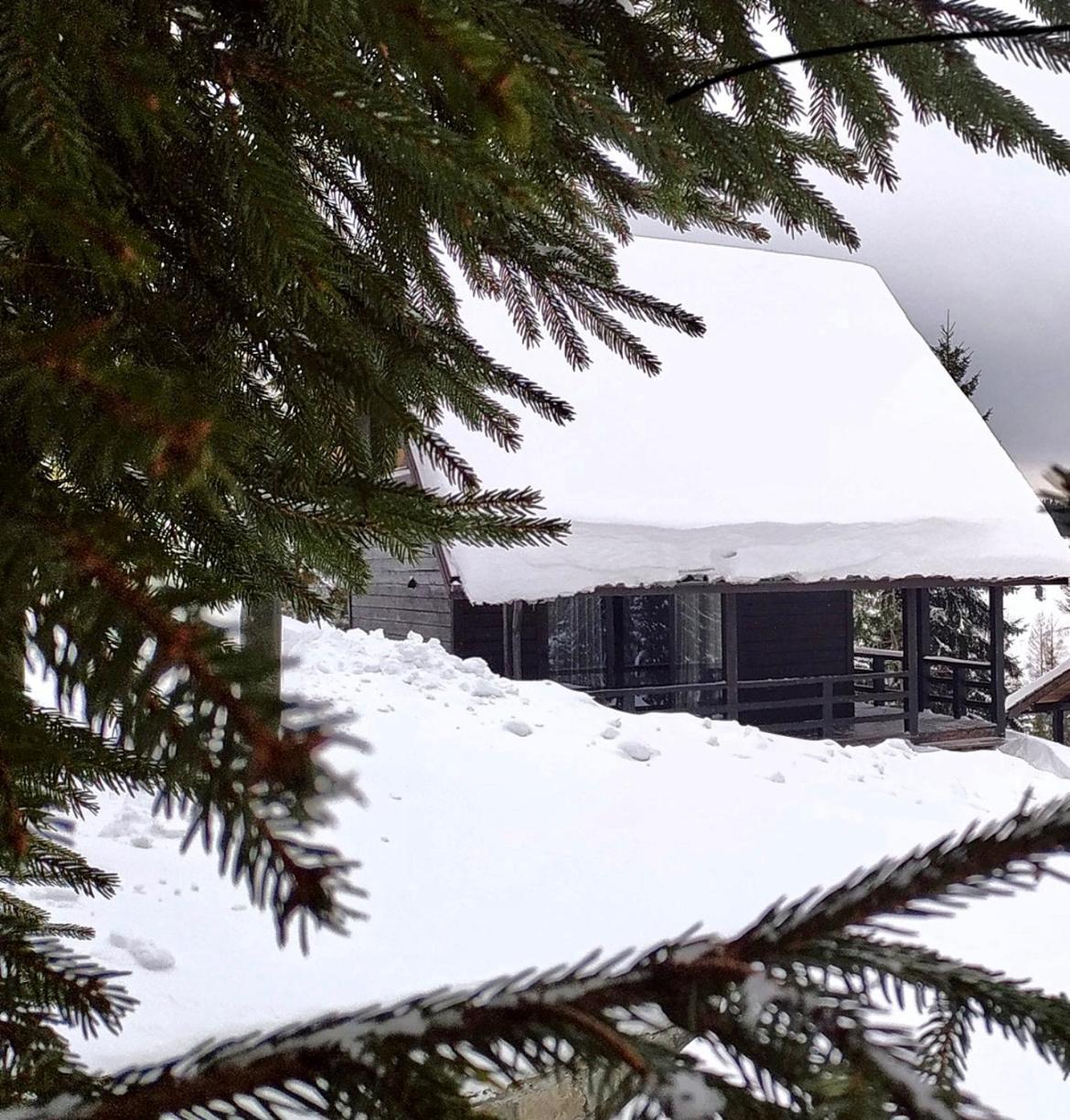 Cottages Shepit Lisu Rosokhach Exterior photo